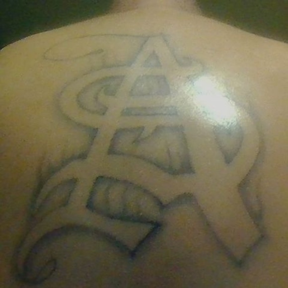 Meet your Posher, Dex - Picture 1 of 1